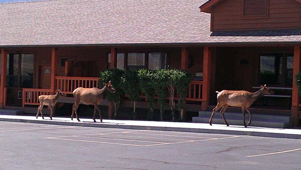 Yellowstone Village Inn And Suites Gardiner Dış mekan fotoğraf